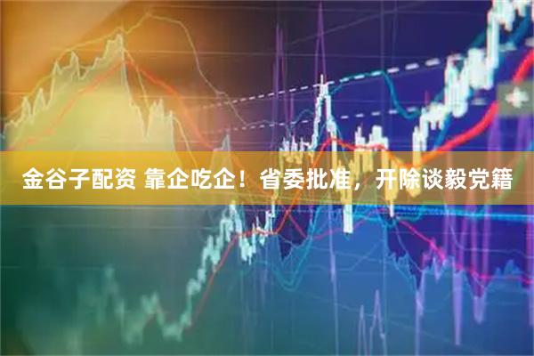 金谷子配资 靠企吃企！省委批准，开除谈毅党籍