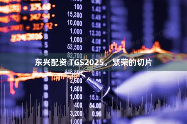 东兴配资 TGS2025，繁荣的切片