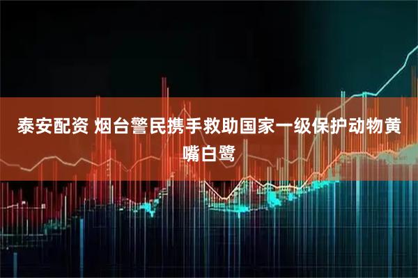泰安配资 烟台警民携手救助国家一级保护动物黄嘴白鹭