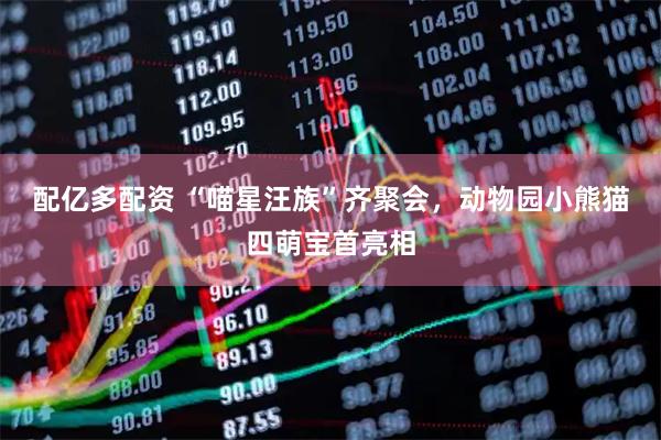 配亿多配资 “喵星汪族”齐聚会，动物园小熊猫四萌宝首亮相